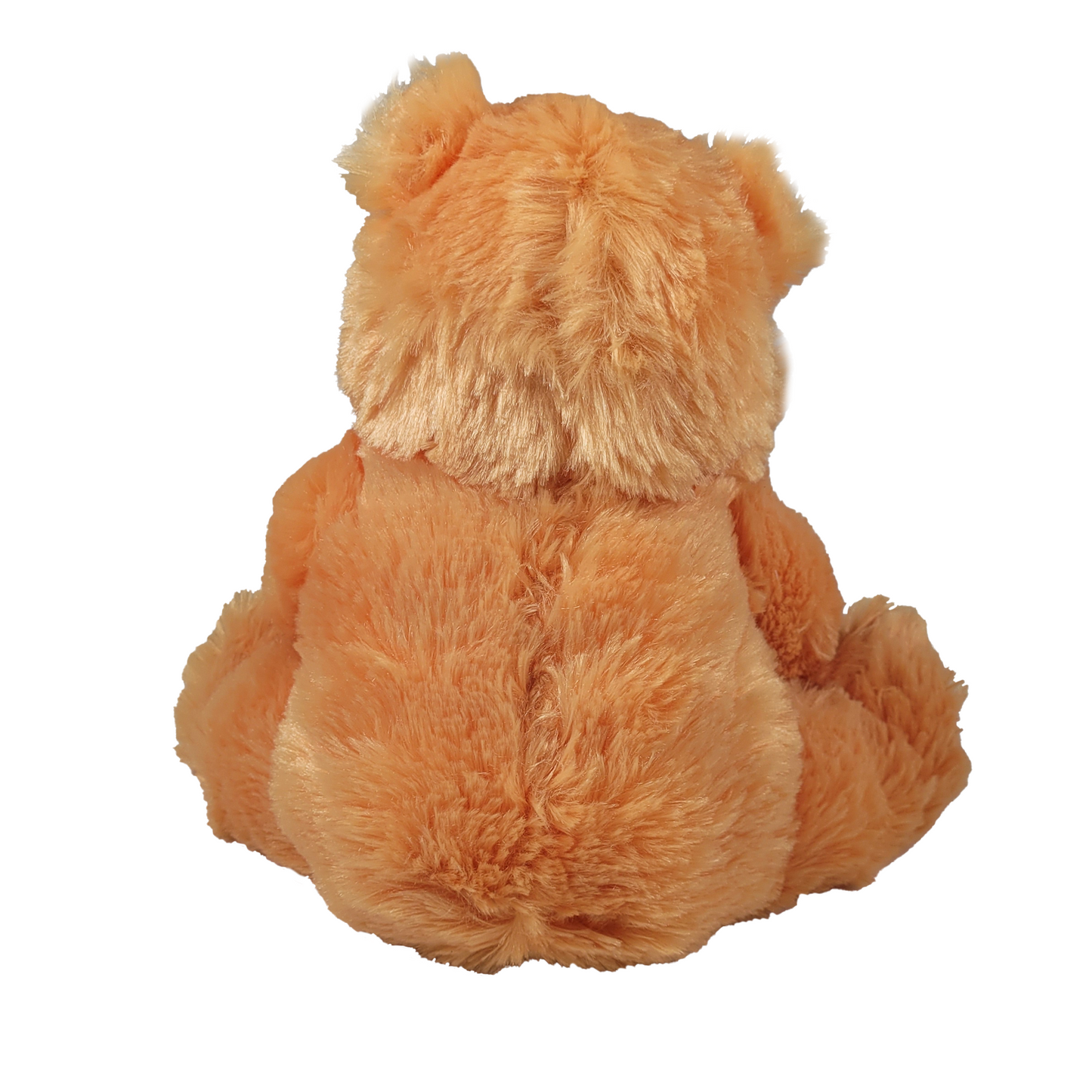 bear plush back