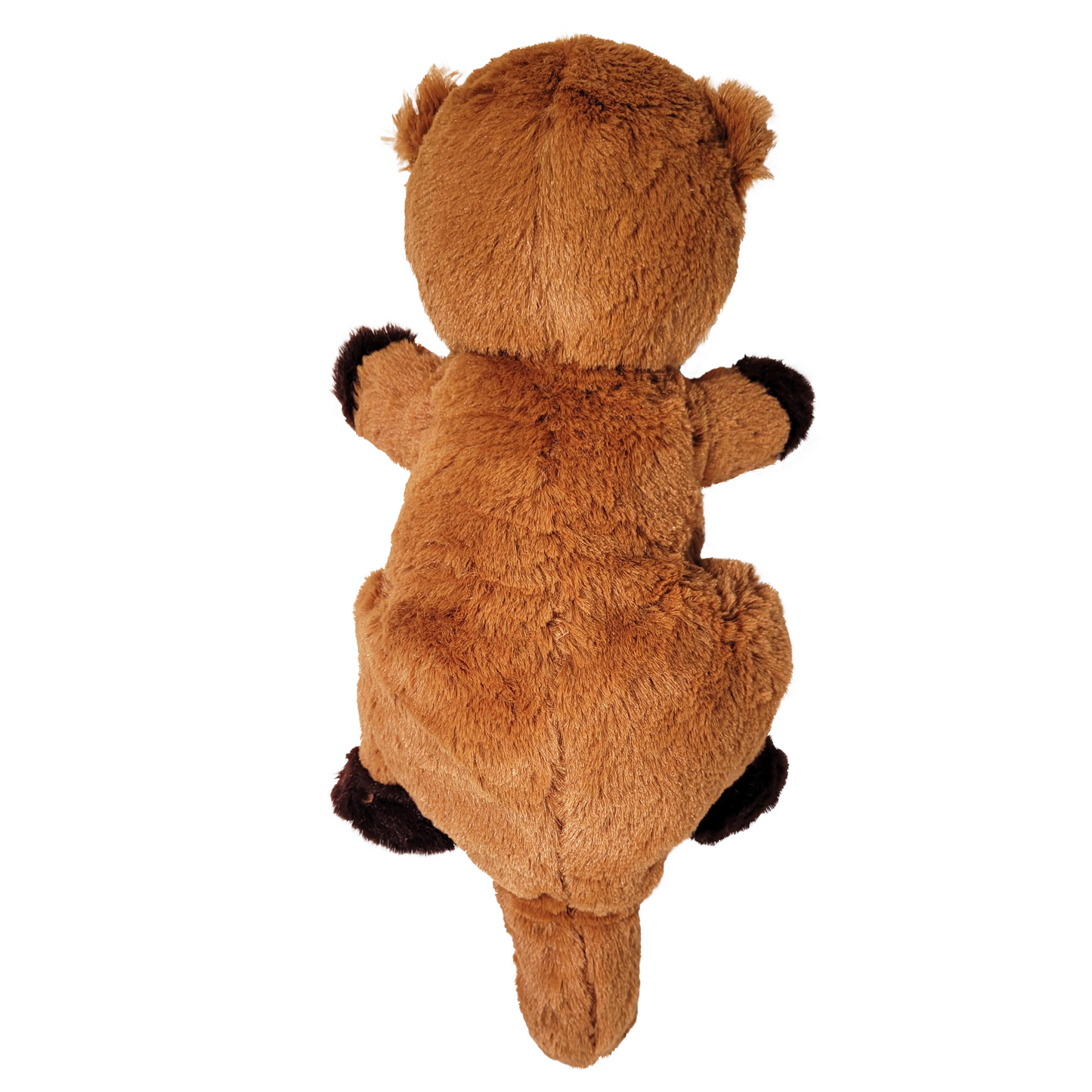 otter plush back