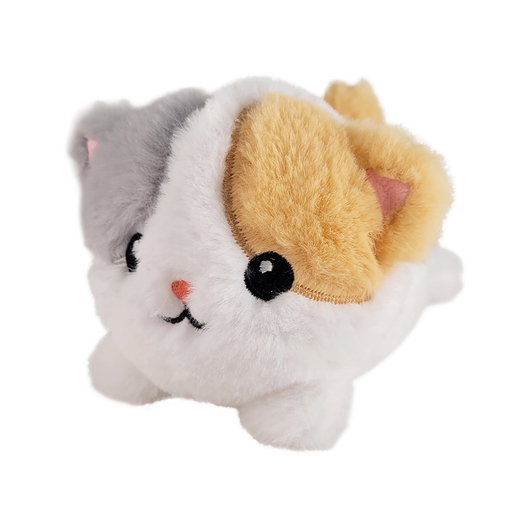 Small baby kitten plush a white background.
