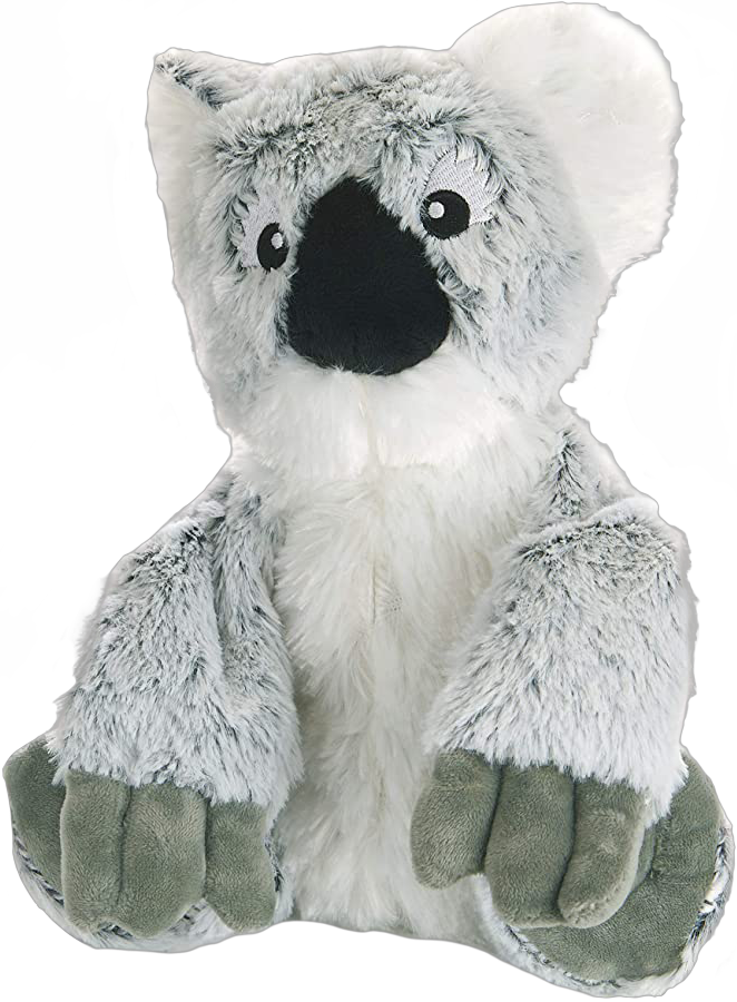 warm pals koala