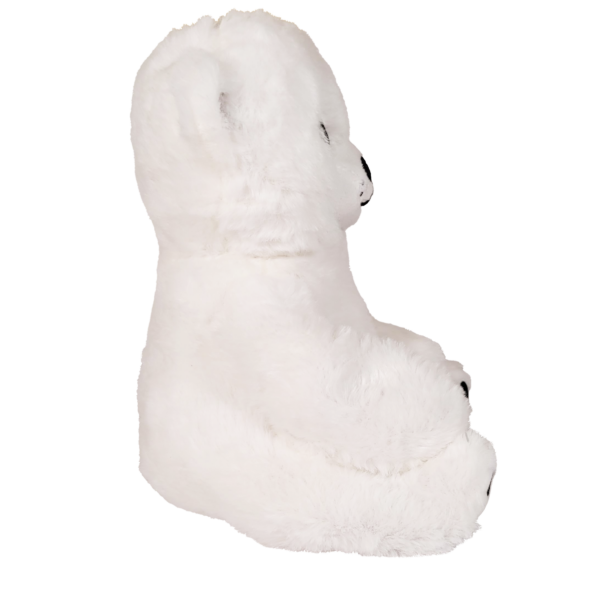polar bear side