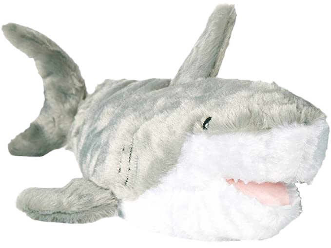 warm pals shark