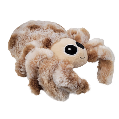 spider side